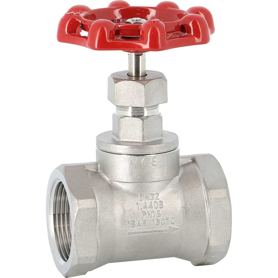 Globe Valve